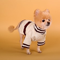 다솜 반려동물 스트라이프 레이어드 탑, 아이보리, 1개