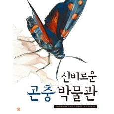 곤충역할