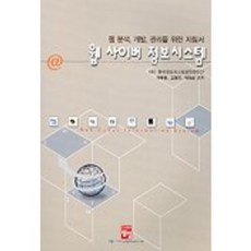 웹 사이버 정보시스템, 정일