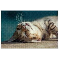 HUASHEN JS 고급형 직소퍼즐 HS3440, 644피스, 혼합 색상
