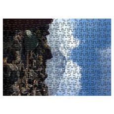다모아 시험관 직소퍼즐 킬리만자로산과바위, 234피스, 혼합 색상