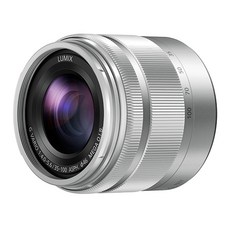 파나소닉 마이크로포서드 망원 줌렌즈 H-FS35100, H-FS35100(실버)