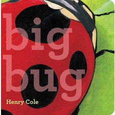 Big Bug Board Books, Little Simon