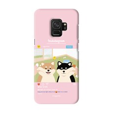 시조바시스