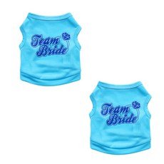 포스터고양이겨울냄새