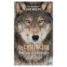 엘리이야기