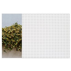 f3e99010-c696-440e-a984-9a9beddeeeae.jpg