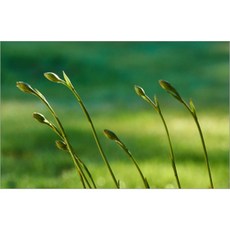 강화유리아트보드