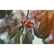 십분공방