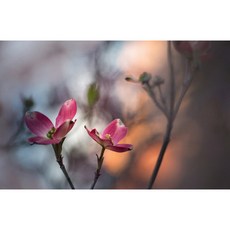 a644ec10-c5c3-4870-b706-31f85f9eef93.jpg