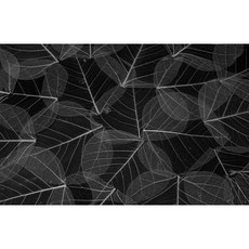 6dfa40f8-63d9-4195-b255-7c31d1369547.jpg