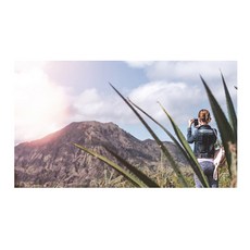 주방아트보드풍경