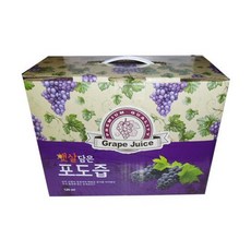 햇살담은포도즙