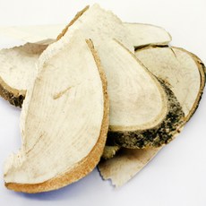 자연닮음 황칠나무 한차재료, 300g, 1개