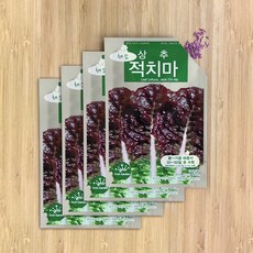 비에프에이 적치마 상추 채소씨앗, 4개입