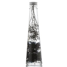 伊洛古三角瓶保鮮花, 黑色的