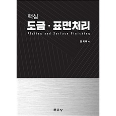 핵심 도금 표면처리, 문운당, 염희택 지음