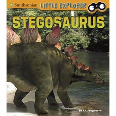 Stegosaurus Library Binding, Capstone Press