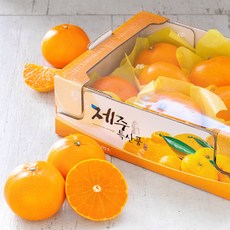 농협 레드향, 2kg, 1박스