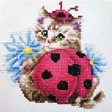 a29ea44a-5c64-4bba-a1e8-1e13ce37b808.jpg