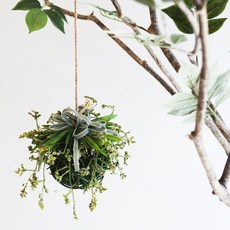 都市花園Sari圓形花球仿真花吊盆, 綠色