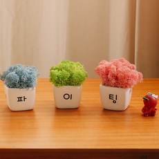 아스파시아베개