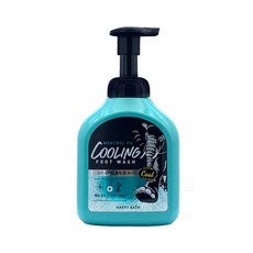 해피바스 검은코끼리 쿨링 풋워시, 500ml, 1개