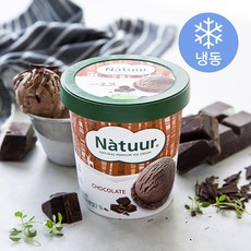 나뚜루 초코 아이스크림 (냉동), 474ml, 1개