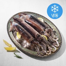 초코렛빛 오징어 (냉동), 800g, 1개