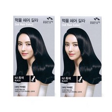 꽃을든남자 CS 먹물 헤어칼라, N1 흑색, 2개