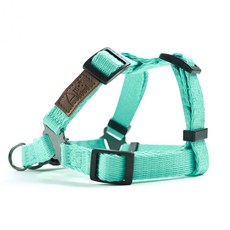 아띠지기하네스