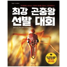 최강 곤충왕 선발 대회, 보랏빛소어린이, 최강 지식 그림책