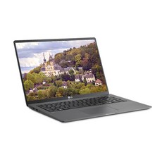 LG전자 2020 그램17 노트북 (10세대 i7-1065G7 43.1cm 8GB SSD 256GB)