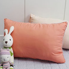 베드앤데코 베이직 일체형베개 2p, 오렌지, 2개