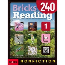 Bricks Reading 240. 1