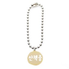 펫츠룩 써지컬체인B 반려동물 목걸이 M + 인식표 원형골드, 산책중