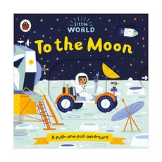 Little World : To the Moon, Ladybird