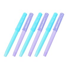 더오픈하우스 컬러 만년필 2종 x 3p 74-0157, 1mm, 블루, 퍼플