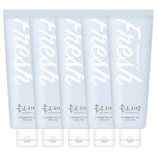 닥터초이스 여행용 프레쉬 좋은치약, 30g, 5개