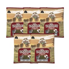 구딘 펫츠 핸들러 토끼 앤 기니피그 알팔파 건초, 500g, 5개
