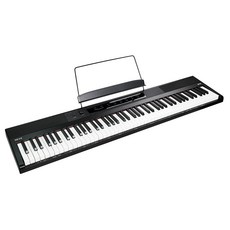 디지털 피아노-추천-REVE 88건반 터치 인터페이스 디지털피아노 RP20, 혼합색상