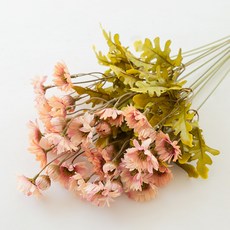 11dd4e2d-536b-4f98-9b5a-280e00c1c00a.jpg
