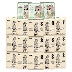 시크릿데이 블랙 팬티라이너 XS 생리대 20p x 15팩 + 롱라이너 XS 생리대 20p x 3팩 세트, 1세트