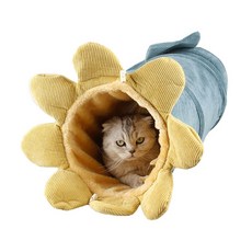 디키포펫 메이플 고양이 숨숨집 터널하우스, 블루, 1개
