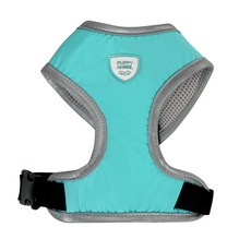 퍼피엔젤안지오네