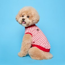 플로트 테디아일랜드 강아지 민소매 티셔츠, 핑크