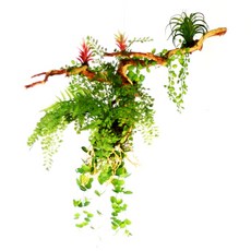 도시정원 조화 행잉 펀 플랜트 70, 혼합색상, 1개