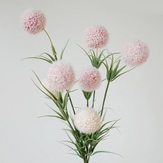 8a8430b9-5a0a-4740-a511-48dca81eb26f.jpg