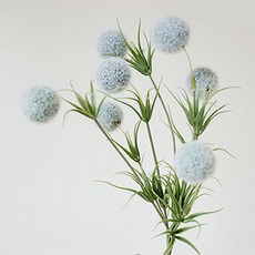 f0ff6ed8-5ba0-43cf-9205-646d976cd809.jpg