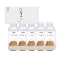 인테이크 모닝귀리 곡물가루, 50g, 5개